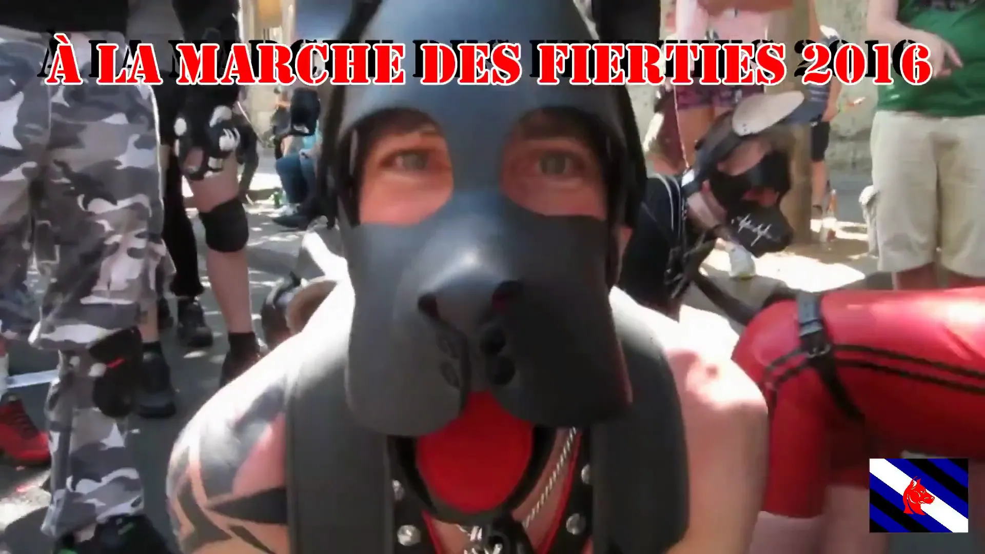 Teaser gaydogtraining gaypride 2016