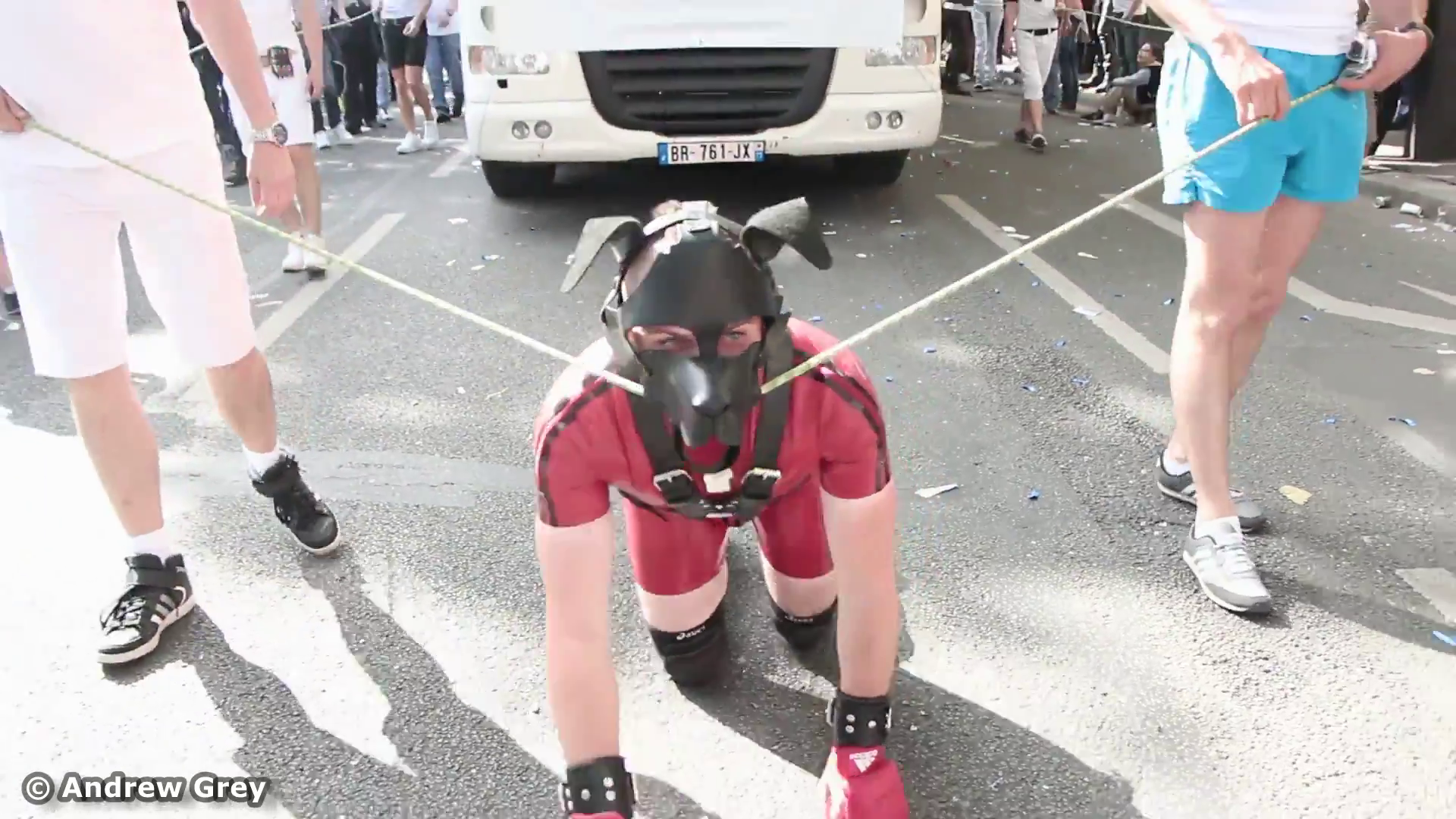 Un dog a la corde