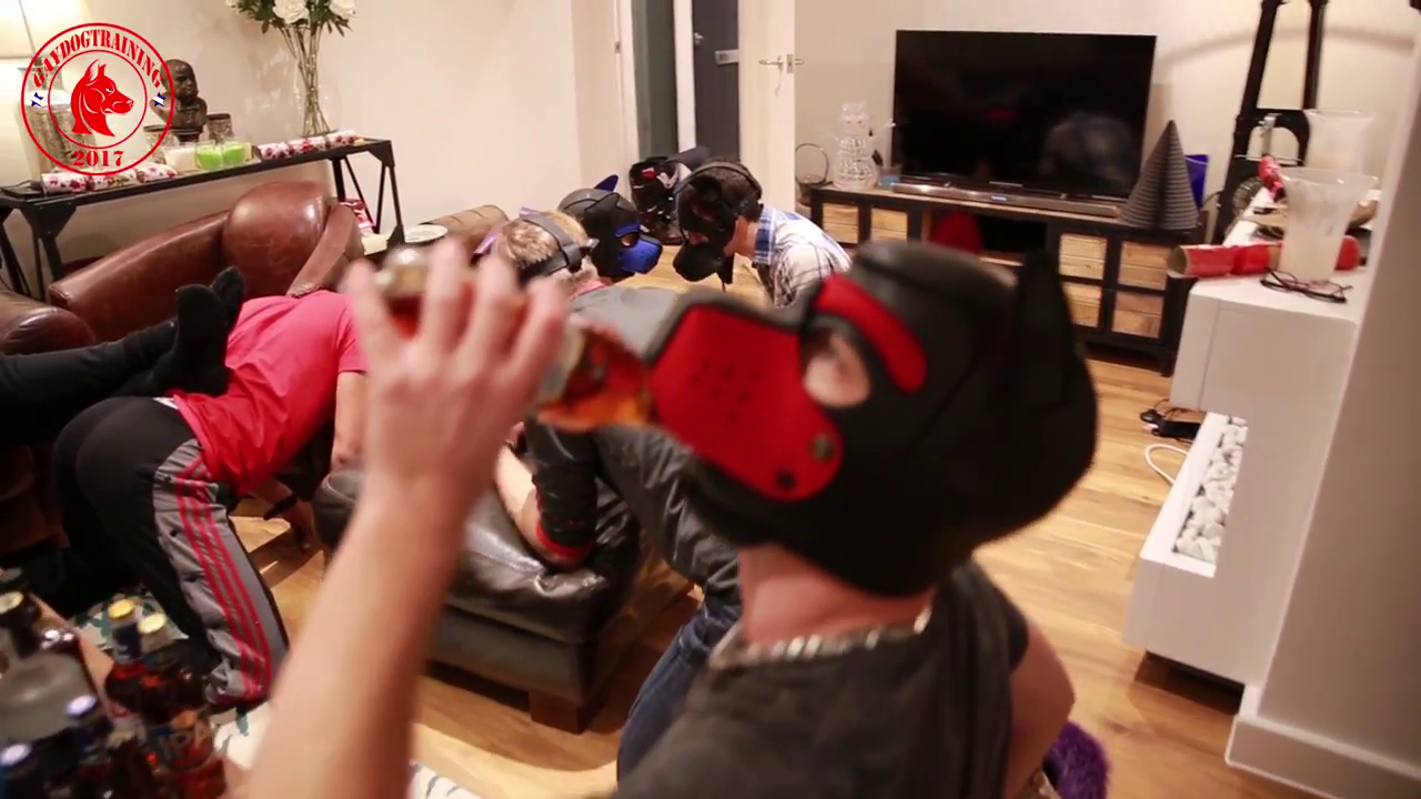 Mannequin Challenge puppies in London