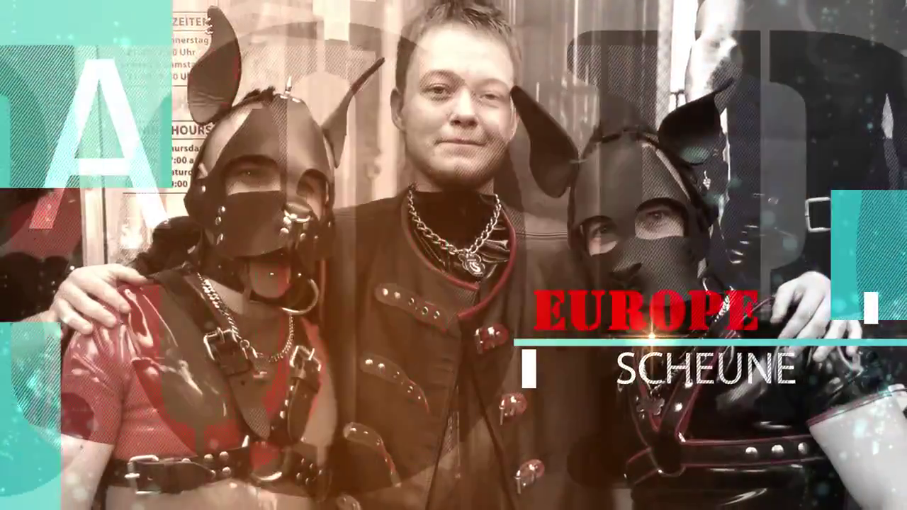 Teaser Folsom Gaydogtraining