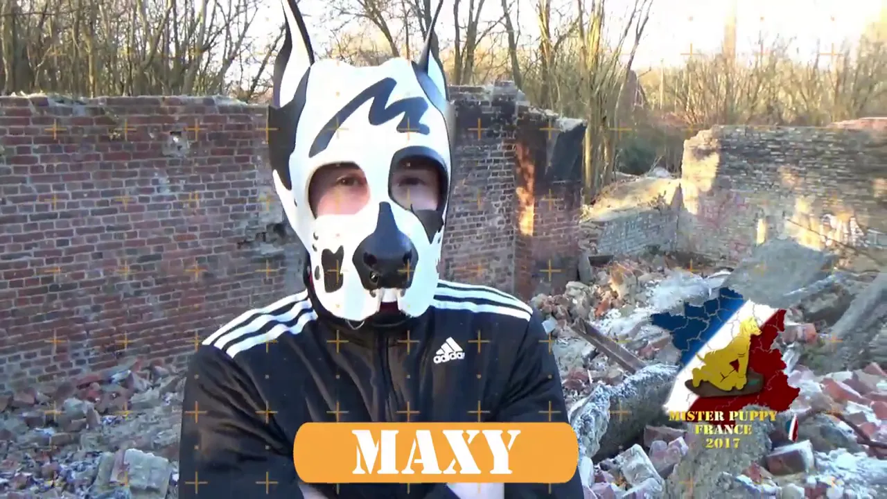 Candidat Mister Puppy France 2017 Maxy