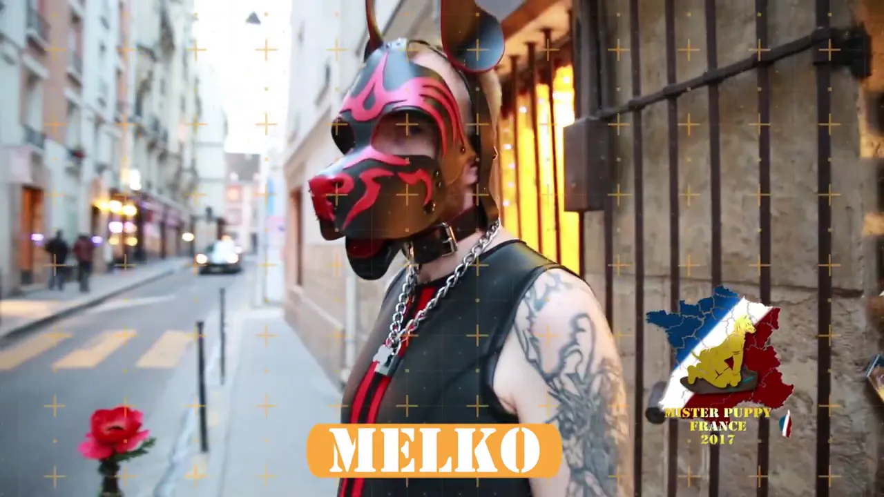 Candidat Mister Puppy France 2017 Melko