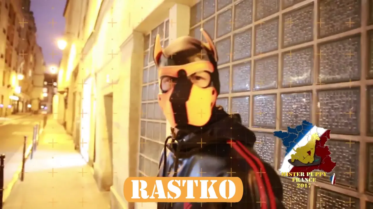 Candidat Mister Puppy France 2017 Rastko