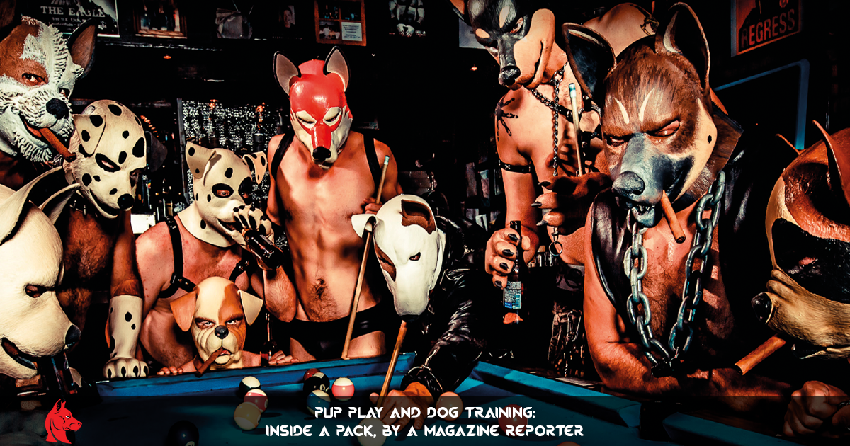 Pup Play and Dog Training Inside a Pack, by a Magazine Reporter