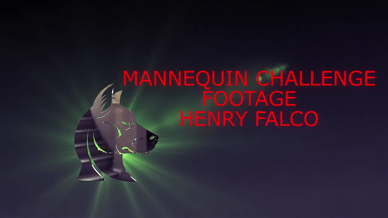 Mannequin Challenge 2017