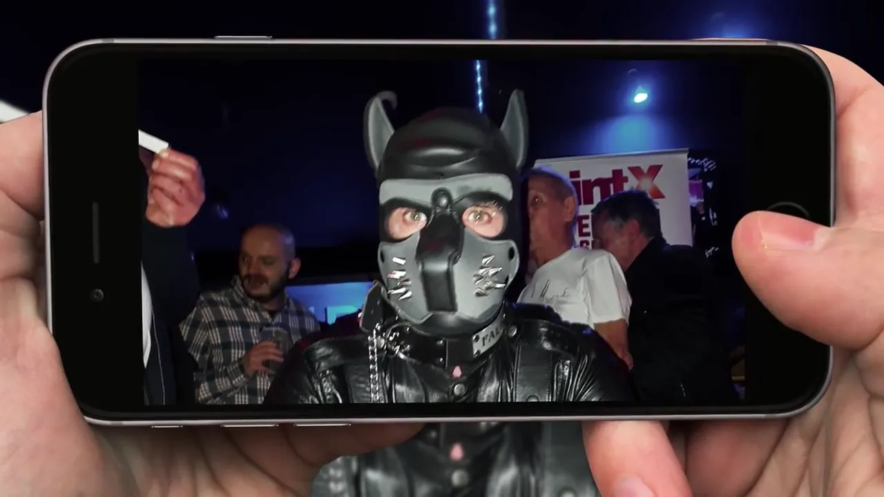 Candidat Mister Puppy France 2018 Falko
