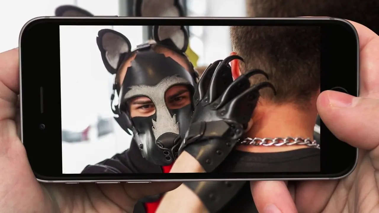 Candidat Mister Puppy France 2018 Frenchypup
