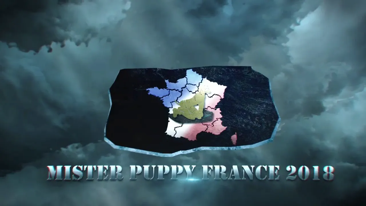 Teaser Mister Puppy France 2018 Long version