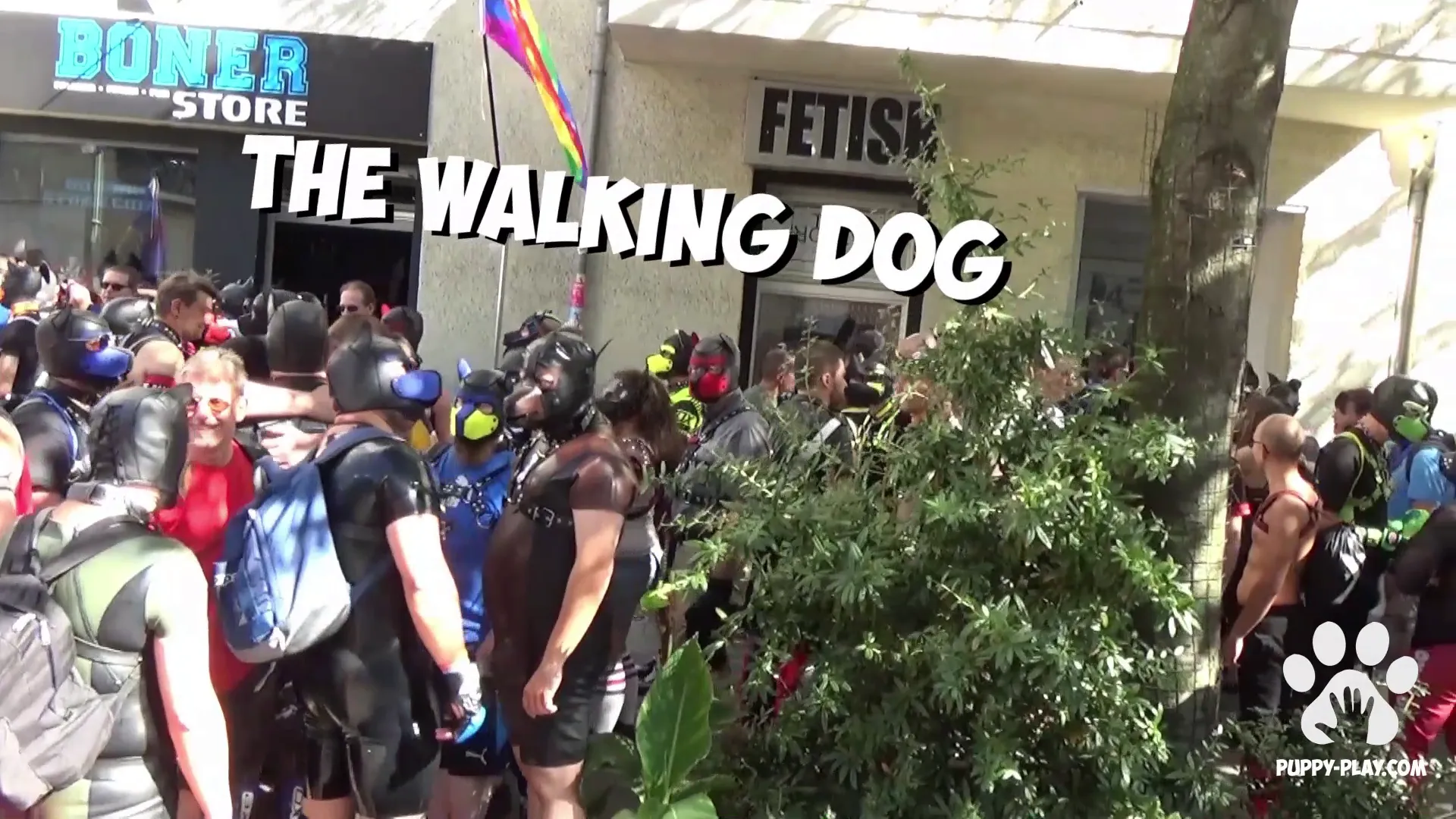 The Walking Dog 2018