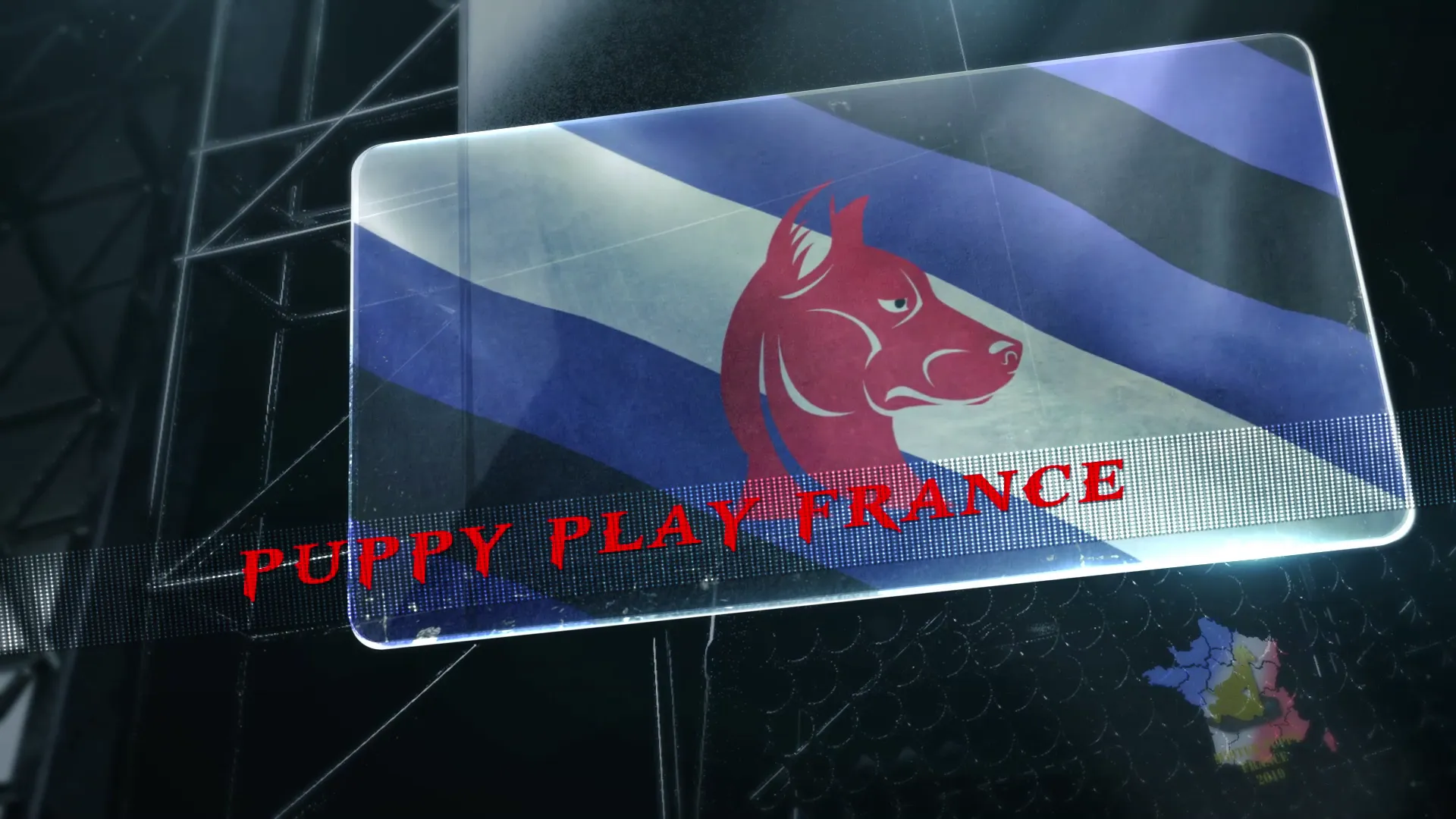 Teaser Mister Puppy France 2019