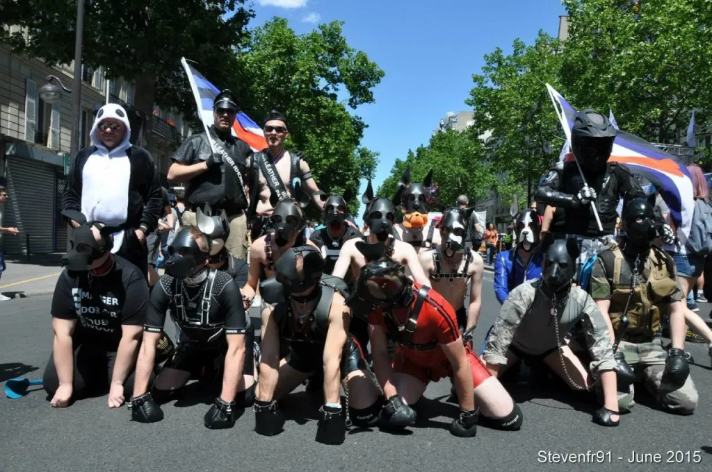 Marche des fiertés 2015