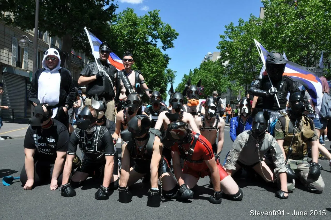 Marche des fiertés 2015