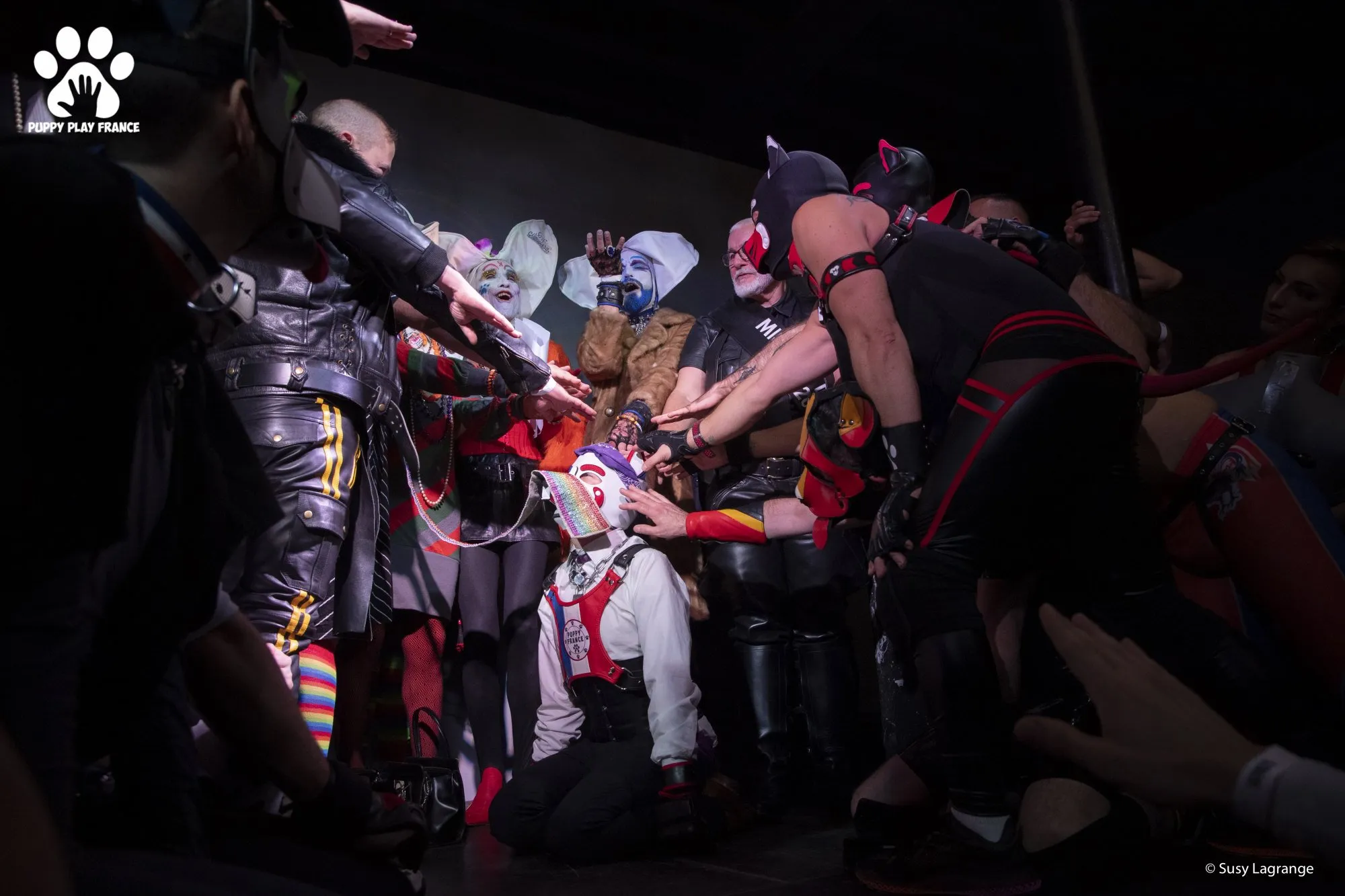 2022 : Puppy France – Mythra Xetal