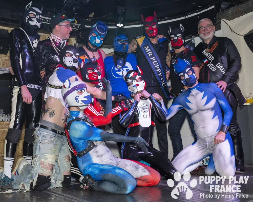 Bailey - Puppy France 2023