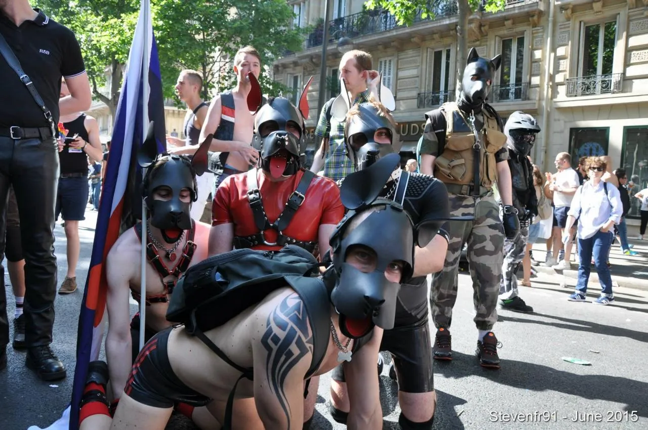 MARCHE DES FIERTÉS 2015