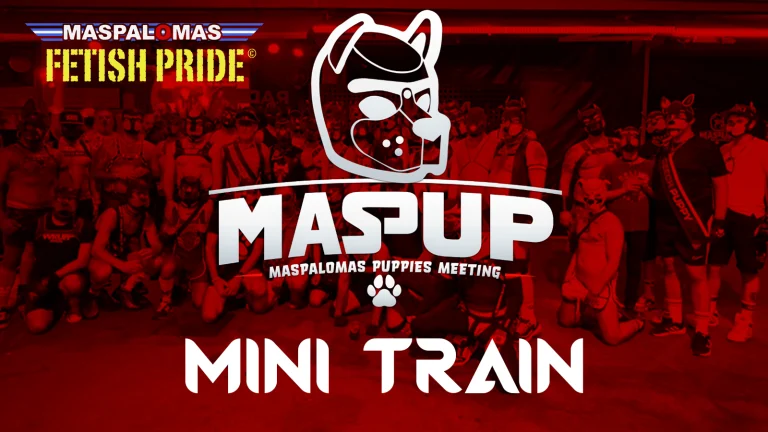 Mini Train Tour